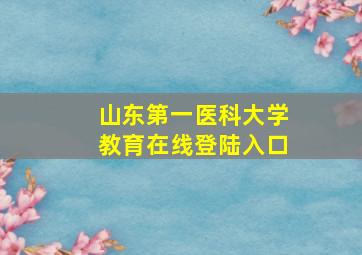 山东第一医科大学教育在线登陆入口