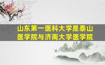 山东第一医科大学是泰山医学院与济南大学医学院