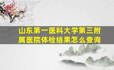 山东第一医科大学第三附属医院体检结果怎么查询