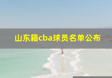 山东籍cba球员名单公布