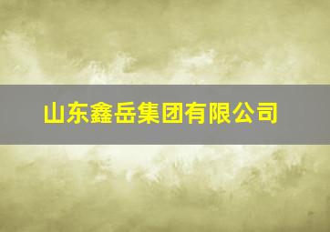 山东鑫岳集团有限公司