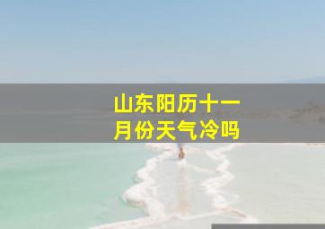 山东阳历十一月份天气冷吗