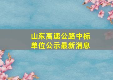 山东高速公路中标单位公示最新消息