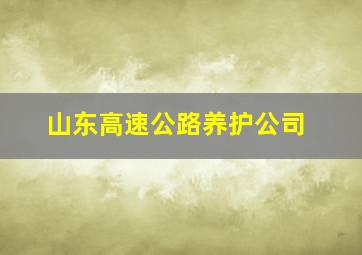 山东高速公路养护公司