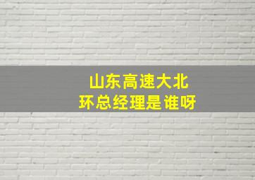 山东高速大北环总经理是谁呀