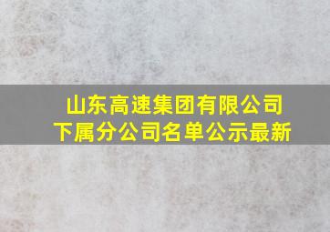 山东高速集团有限公司下属分公司名单公示最新