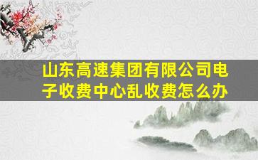 山东高速集团有限公司电子收费中心乱收费怎么办