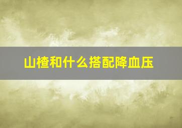 山楂和什么搭配降血压