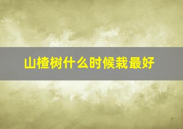 山楂树什么时候栽最好