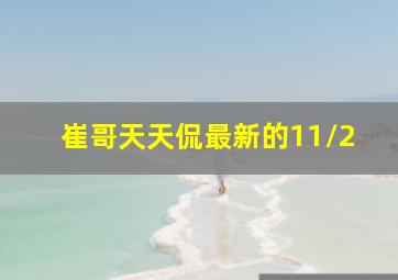 崔哥天天侃最新的11/2