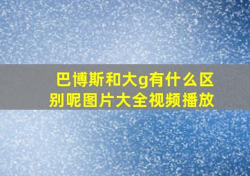 巴博斯和大g有什么区别呢图片大全视频播放