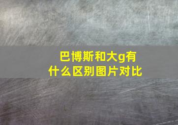 巴博斯和大g有什么区别图片对比