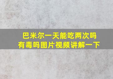 巴米尔一天能吃两次吗有毒吗图片视频讲解一下