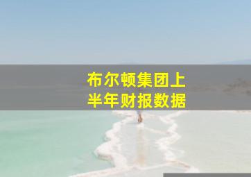 布尔顿集团上半年财报数据