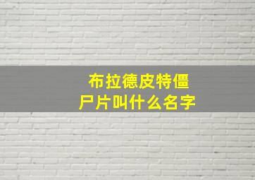 布拉德皮特僵尸片叫什么名字