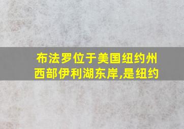 布法罗位于美国纽约州西部伊利湖东岸,是纽约