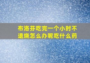 布洛芬吃完一个小时不退烧怎么办呢吃什么药