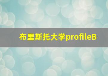 布里斯托大学profileB