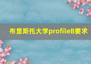 布里斯托大学profileB要求