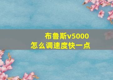 布鲁斯v5000怎么调速度快一点