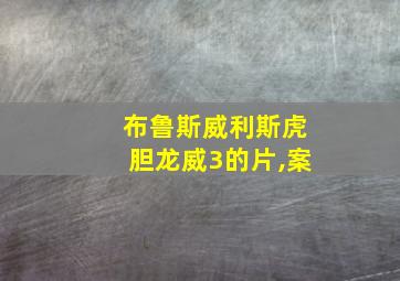 布鲁斯威利斯虎胆龙威3的片,案