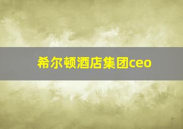 希尔顿酒店集团ceo