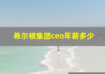 希尔顿集团ceo年薪多少