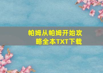 帕姆从帕姆开始攻略全本TXT下载