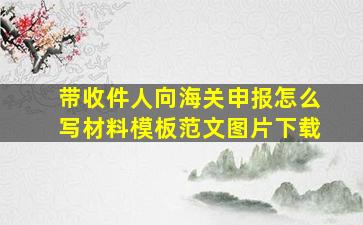 带收件人向海关申报怎么写材料模板范文图片下载