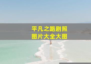 平凡之路剧照图片大全大图