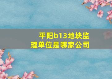 平阳b13地块监理单位是哪家公司