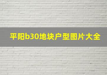 平阳b30地块户型图片大全