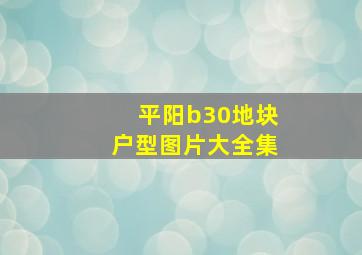 平阳b30地块户型图片大全集