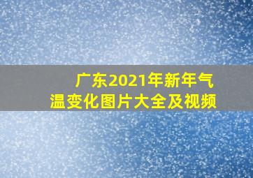 广东2021年新年气温变化图片大全及视频