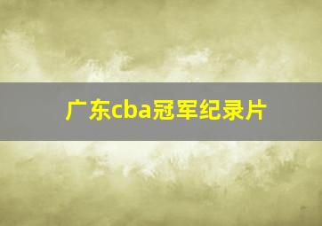 广东cba冠军纪录片