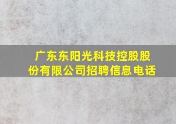 广东东阳光科技控股股份有限公司招聘信息电话