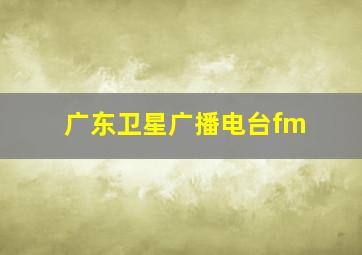 广东卫星广播电台fm