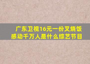 广东卫视16元一份叉烧饭感动千万人是什么综艺节目