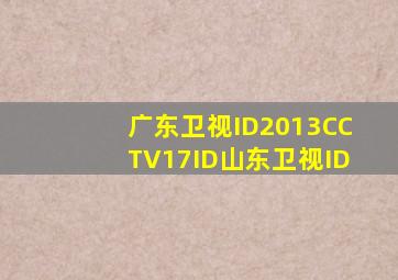 广东卫视ID2013CCTV17ID山东卫视ID