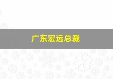 广东宏远总裁