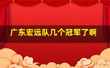 广东宏远队几个冠军了啊