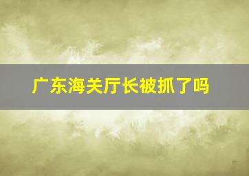 广东海关厅长被抓了吗