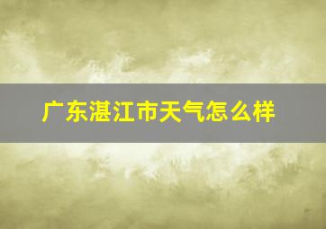 广东湛江市天气怎么样