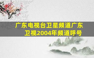 广东电视台卫星频道广东卫视2004年频道呼号