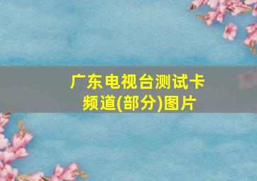 广东电视台测试卡频道(部分)图片