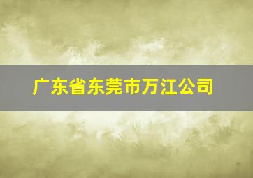 广东省东莞市万江公司