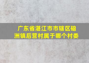 广东省湛江市市辖区硇洲镇后营村属于哪个村委