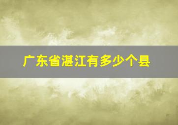 广东省湛江有多少个县