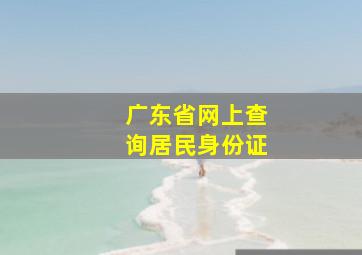 广东省网上查询居民身份证