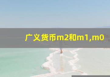 广义货币m2和m1,m0